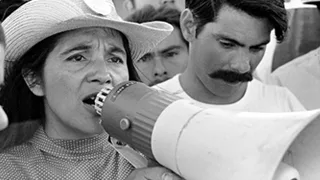 Dolores