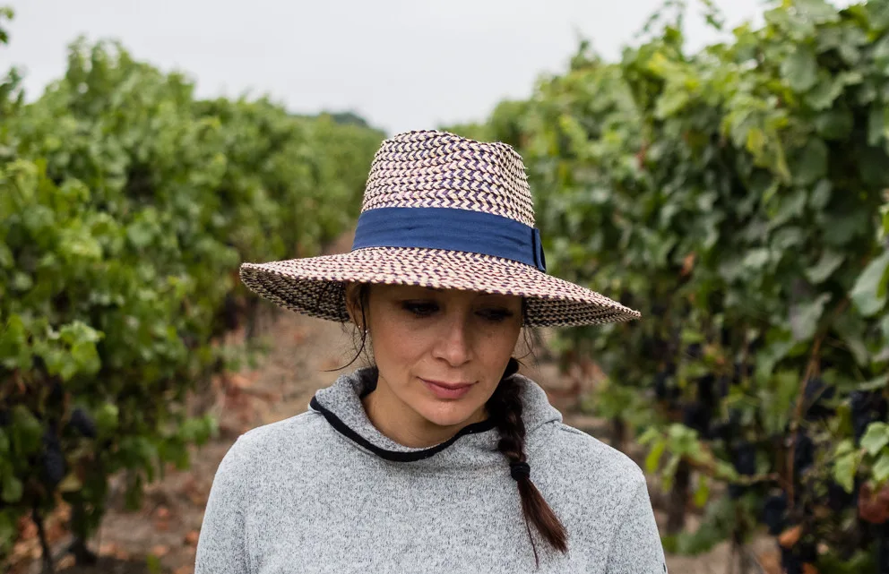 Harvest Season