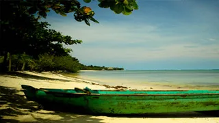 Paraiso For Sale